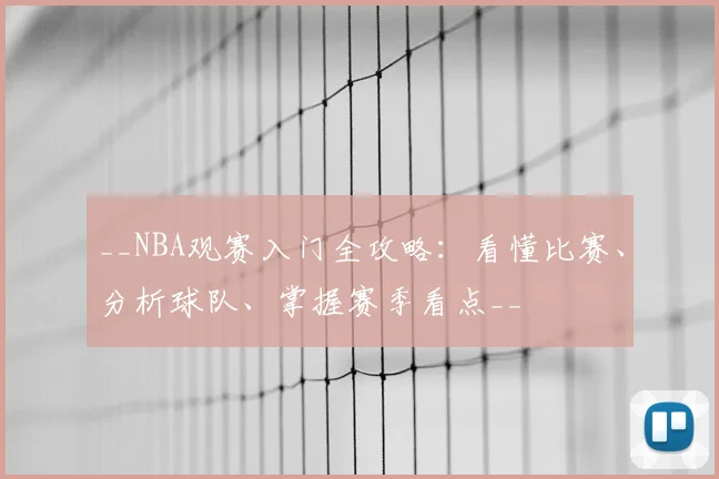 __NBA观赛入门全攻略：看懂比赛、分析球队、掌握赛季看点__